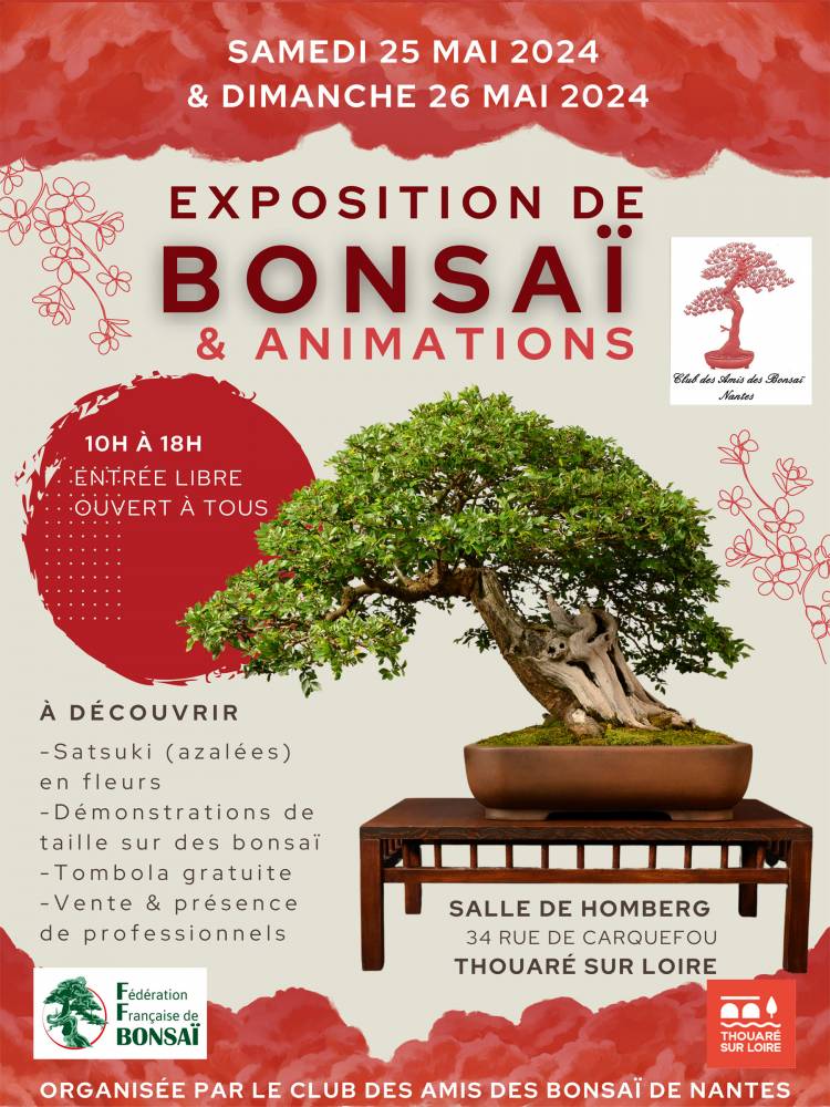 Exposition de Bonsaï - THOUARE SUR LOIRE