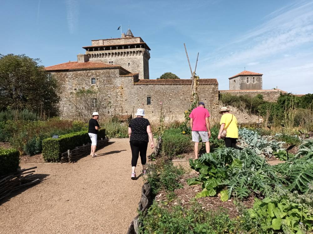 Visite commentée du jardin d'inspiration médiévale - Bazoges-en-Pareds