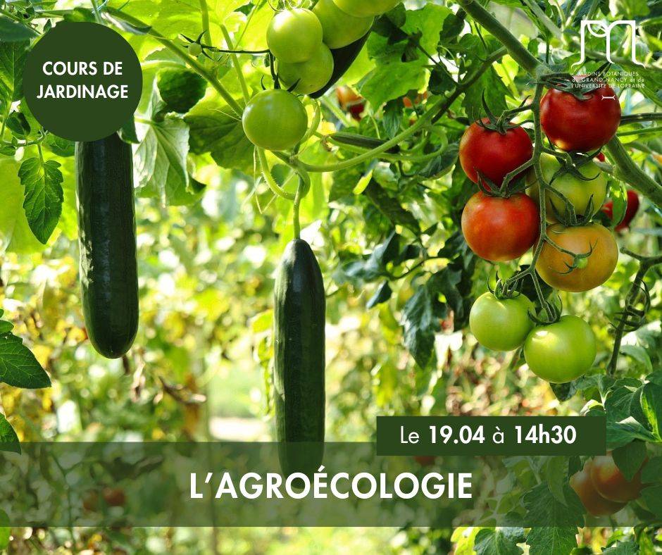 L'agroécologie - Villers-lès-Nancy