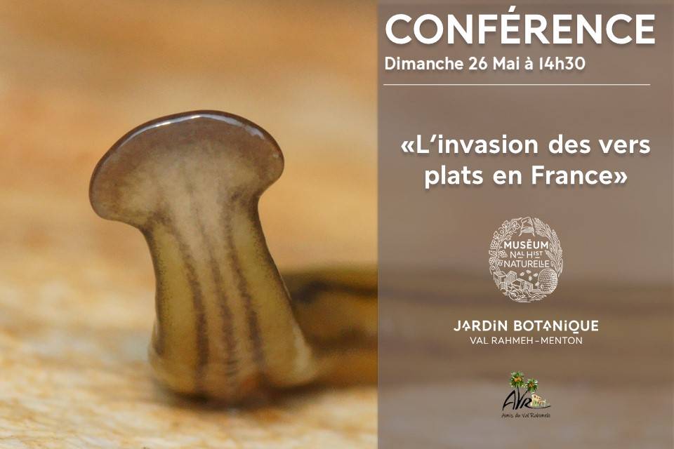 Conférence ”L'invasion des vers plats en France” - Menton