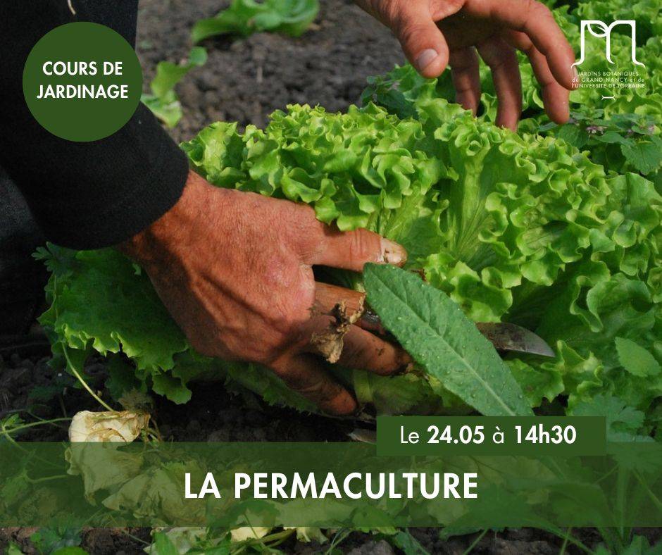 La permaculture - Villers-lès-Nancy