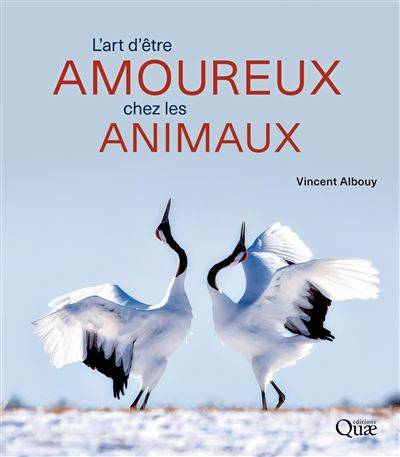 L'art d'être amoureux chez les animaux - Vincent Albouy