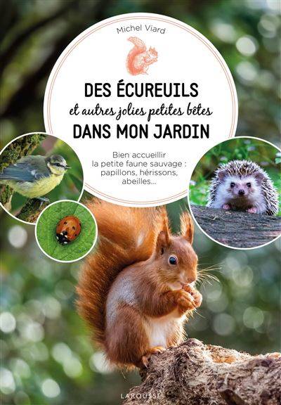 Des écureuils dans mon jardin - Michel Viard