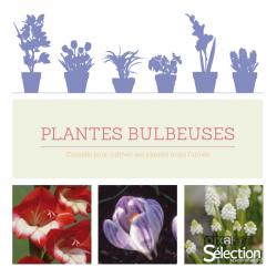 Plantes bulbeuses - Sélection Reader's Digest