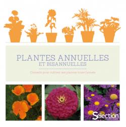 Plantes annuelles et bisannuelles - Sélection Reader's Digest