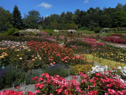 Floral Park Of La Colline Aux Oiseaux