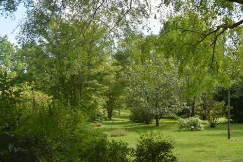 The Adeline Arboretum