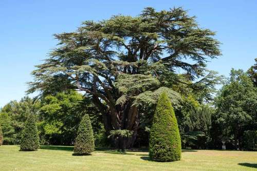 Park And Gardens Of Fontaine La Soret Castle