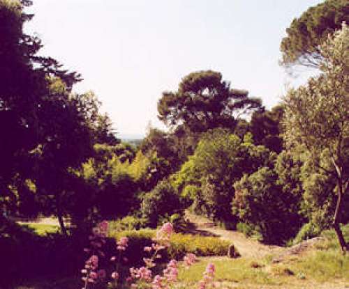 Terral Park
