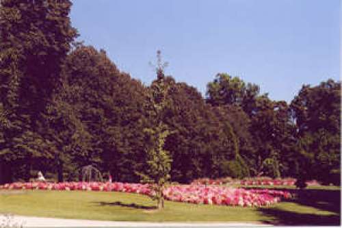 Parque Jean Rameau