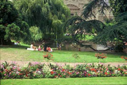 The Gardens Of Blois Castle