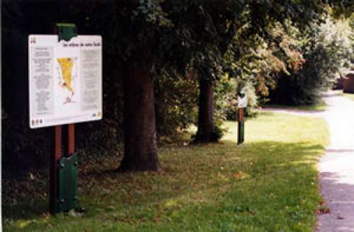 Brunnenthal Botanic Path