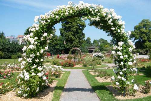 The Saverne Rose Garden