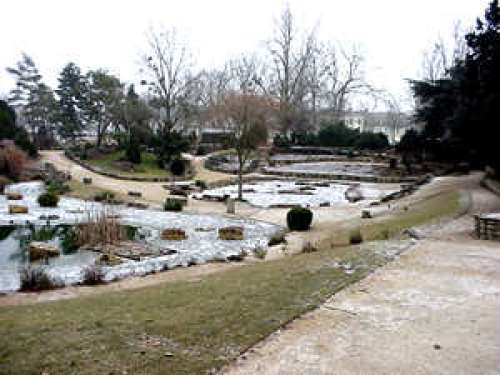 Jardín Geo-Botánico