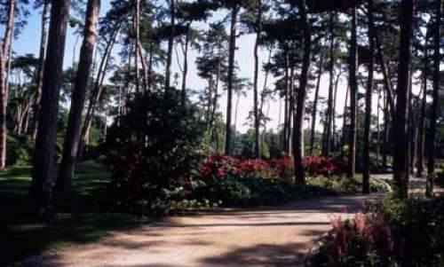 Paris Blumenpark