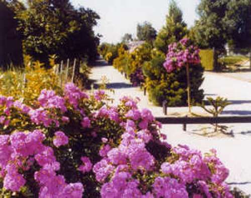 Arboretum de Neuville-de-Poitou