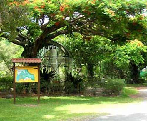 Parc Zoologique et Forestier de Nouméa