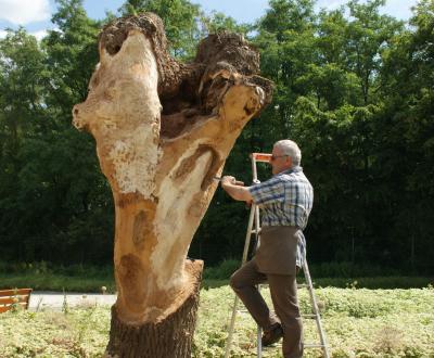 DIXNEUF Sculptures sur bois (le chant du chêne)