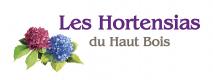 The hydrangea nursery of Haut Bois