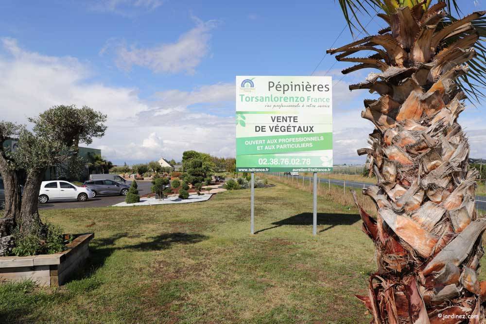 Pépinières Torsanlorenzo Nous vous proposons des plantes d'exception