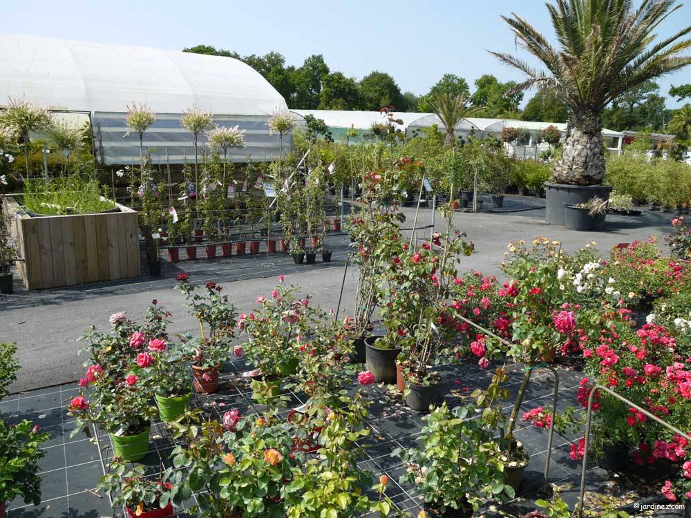 Le Lestin Nurseries Muzillac 56 Morbihan Brittany France Le Lestin Nurseries Photo 3