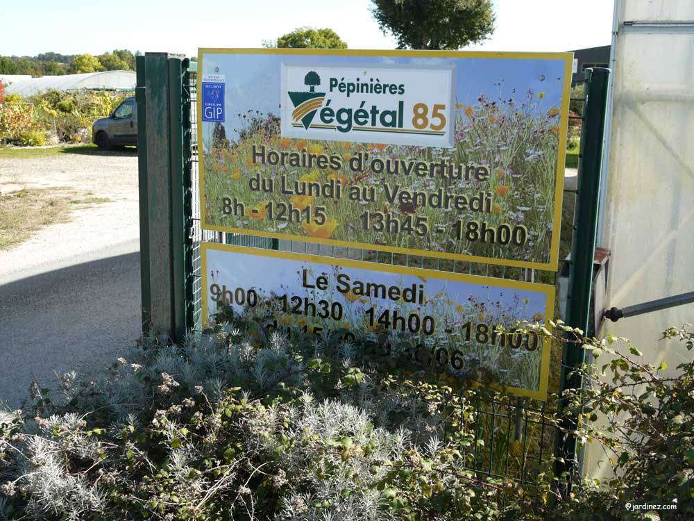 Garden Nurseries Vendée 85 Tree And Garden Nurseries Vendée 85 Tree And Plant Suppliers