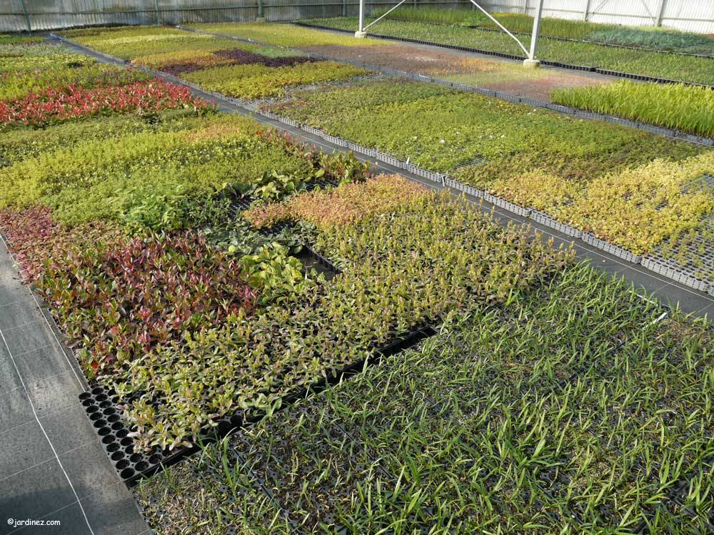 Pépinières du Bocage photo 9