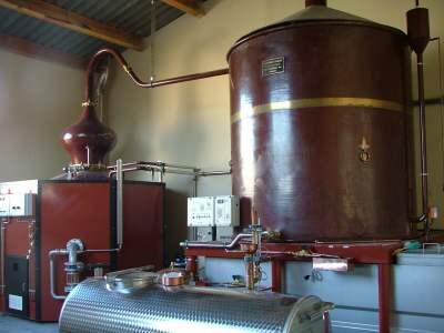 Domaine viticole Pineau des Charentes Joan Brisson