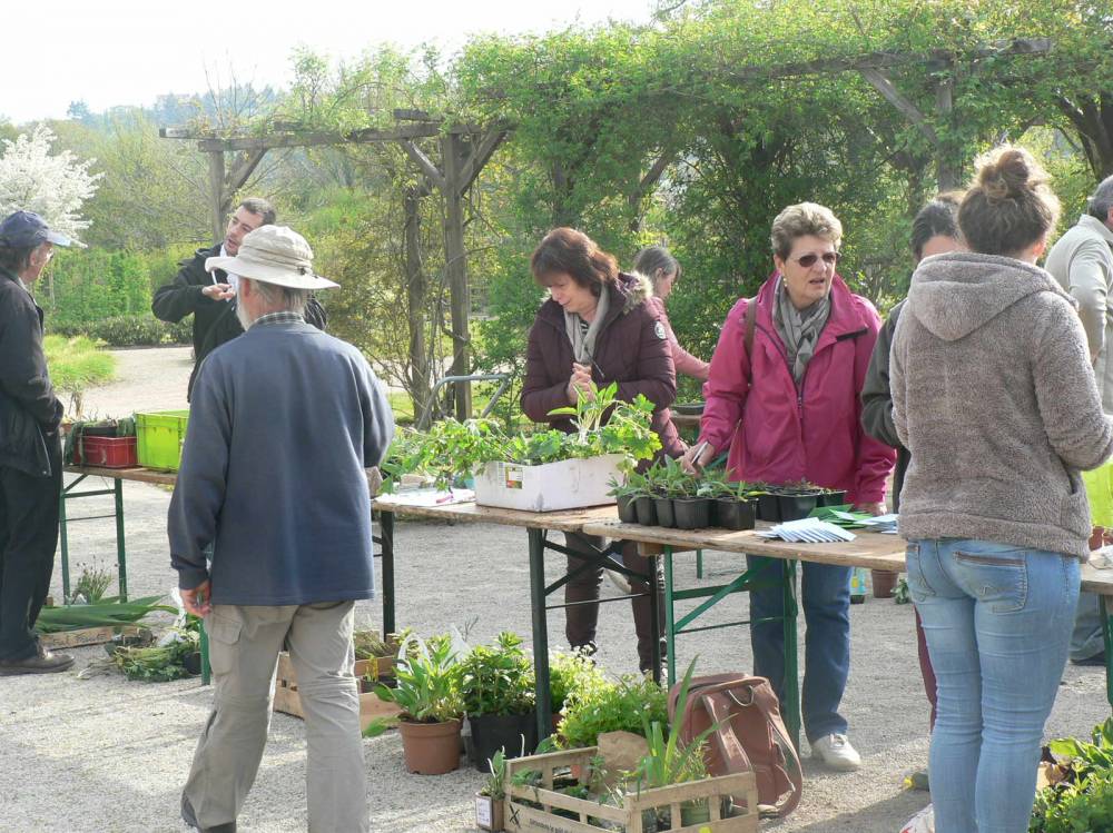 Les Amis De La Roseraie De Saint Galmier