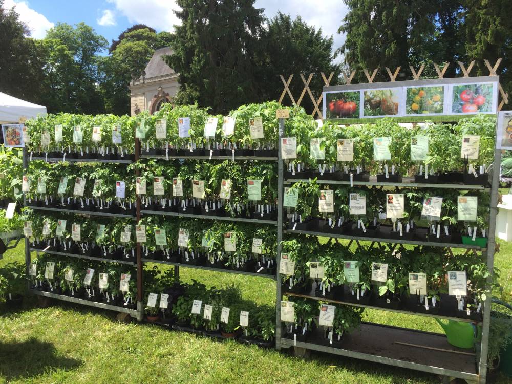 2 Portes ouvertes de mai spéciale plants de légumes bio , Pépinière Les Jardins d'Ollivier (91) 2 Portes ouvertes de mai spéciale plants de légumes bio , Pépinière Les Jardins d'Ollivier (91)