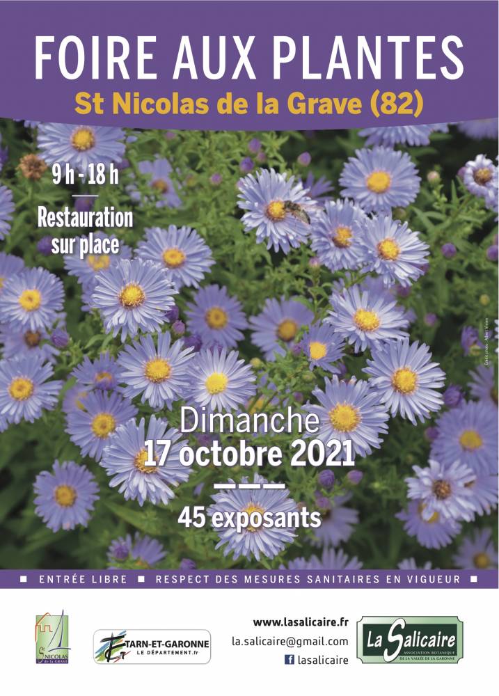 Foire aux plantes rares et de collection , Centre village, Saint-Nicolas-de-la-Grave (82)
