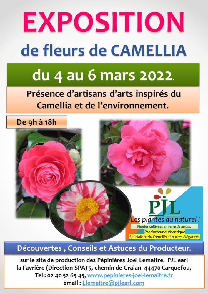 Exposition de Camellia - Carquefou