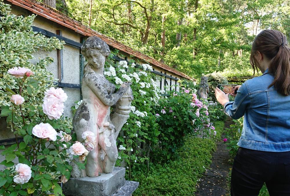 Photo competition ”Rosa & Cornus”, Arboretum des Grandes Bruyères, Ingrannes (45) - France