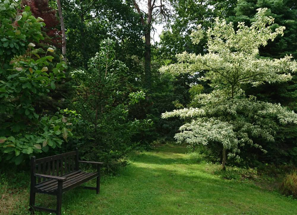 Summer in style, Arboretum des Grandes Bruyères, Ingrannes (45) - France