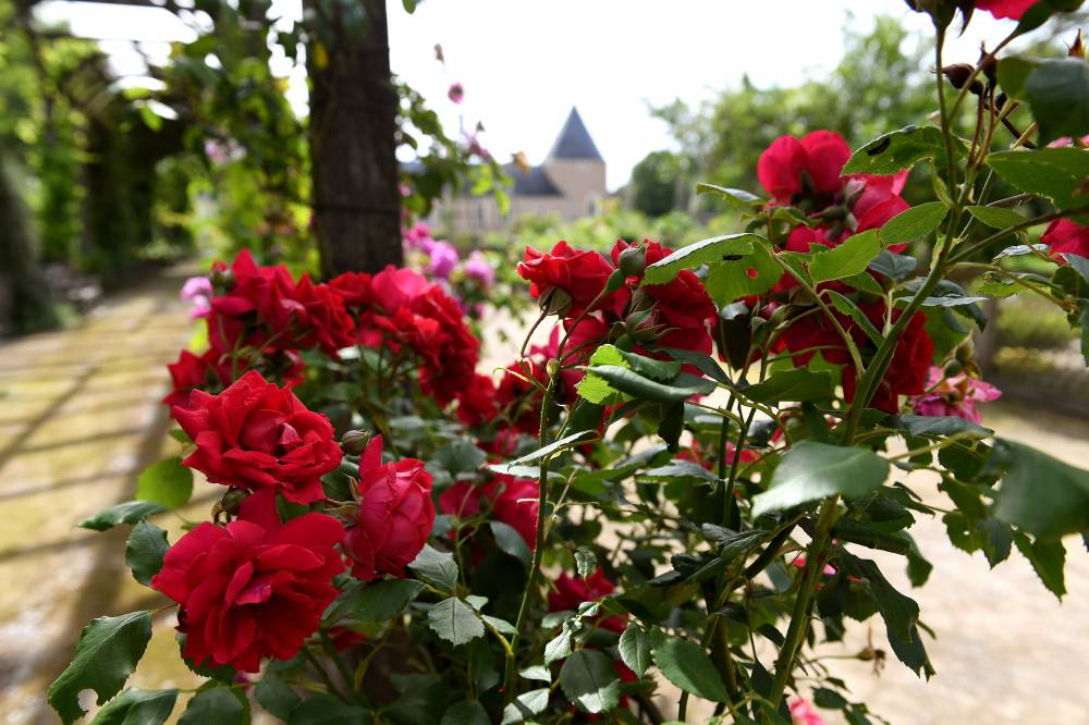 Road of the Rose – Rose Festival, Parc et Jardins du Château de Chamerolles, Chilleurs aux Bois (45) - France