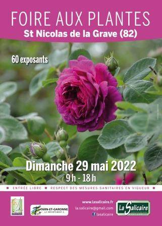 Foire aux plantes rares, Centre bourg, St Nicolas de la Grave (82)