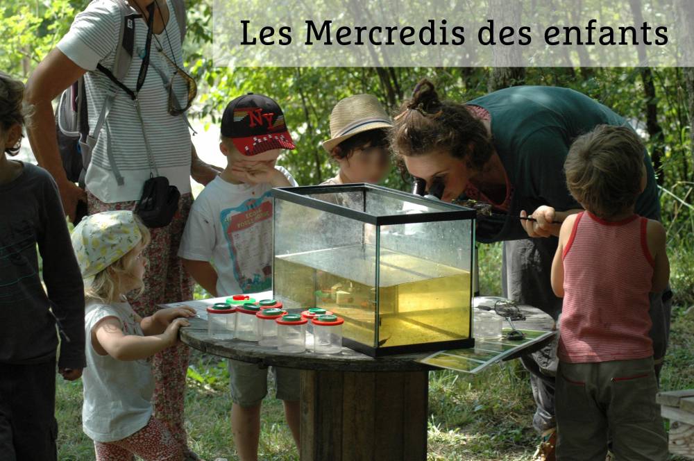 Les Mercredis des enfants en juillet-août au Centre Terre vivante !, Jardins Terre Vivante, Mens (38) - Frankreich