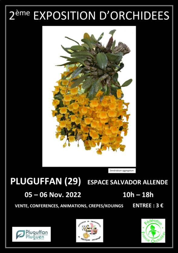 La Canopée Orchidées à Pluguffan, Espace Salvador Allende, Pluguffan (29)