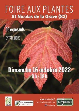 Foire aux plantes rares de La Salicaire, Centre bourg, SAINT NICOLAS DE LA GRAVE (82)