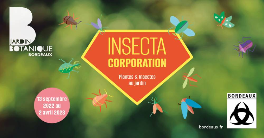 INSECTA CORPORATION - BORDEAUX