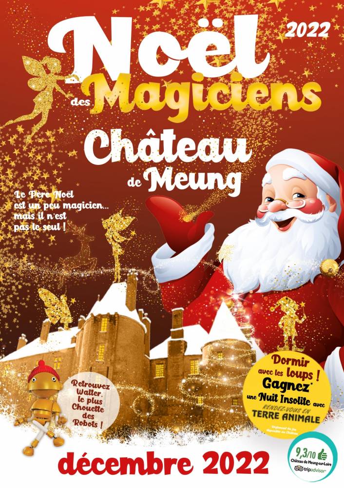 Le Noël des Magiciens au château de Meung sur Loire  - Meung-sur-Loire