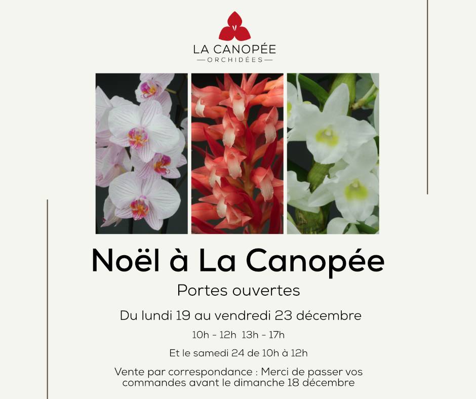 Portes ouvertes Noël à la Canopée, La Canopée Orchidées, Plougastel-Daoulas (29)
