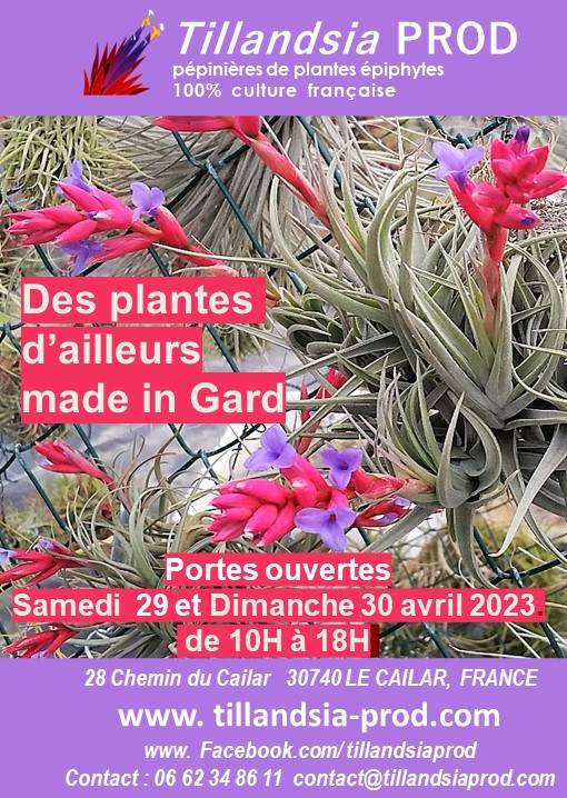 Portes ouvertes de la pépinière - Le Cailar