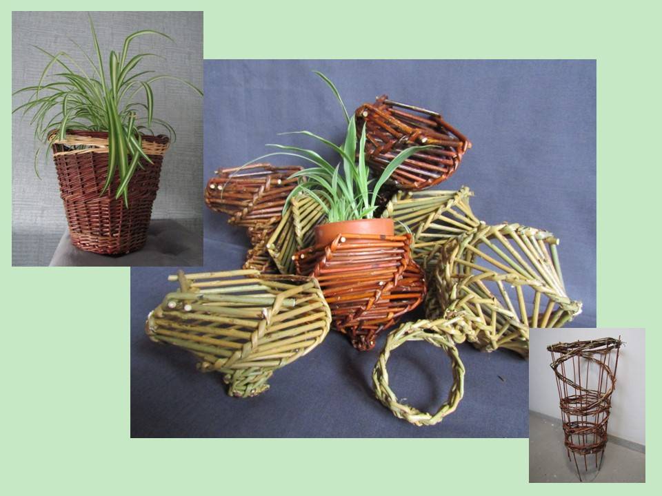 Stage vannerie « Autour des plantes» - Pleumeur Bodou