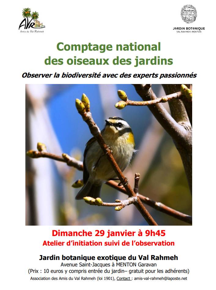 Comptage national des oiseaux des jardins, Jardin Botanique du Val Rahmeh, Menton (06)