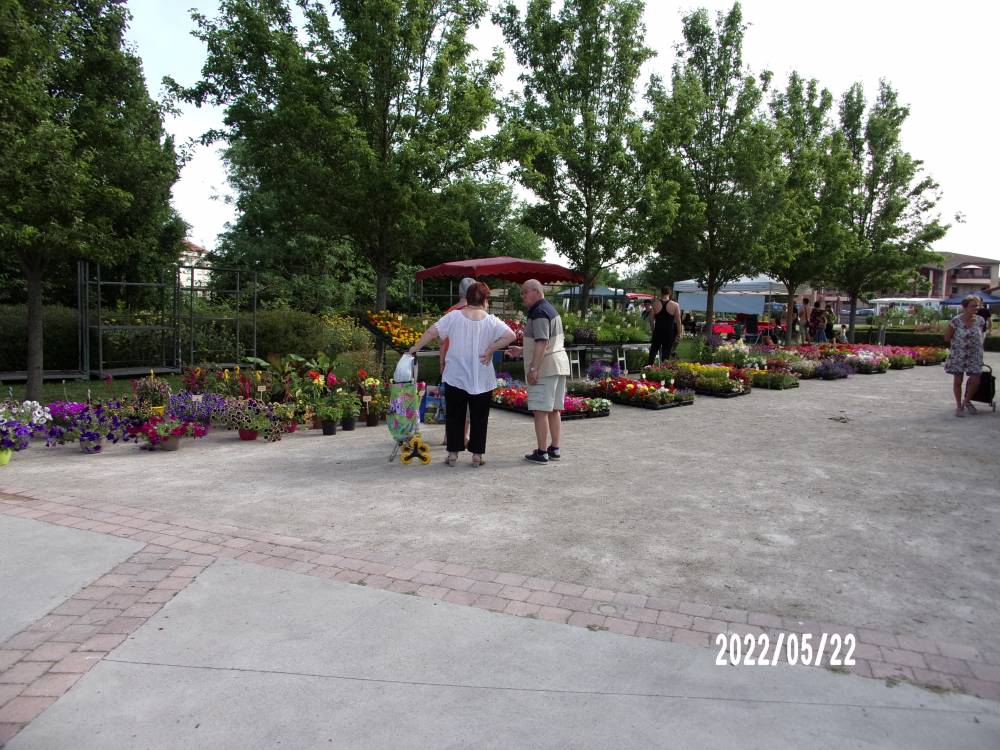 Foire aux plants et marché de créateurs - FROUZINS