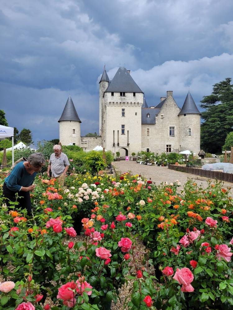 Fête de la Rose - Rendez-vous aux Jardins 2023, Château et Jardins du Rivau, Lémeré (37)
