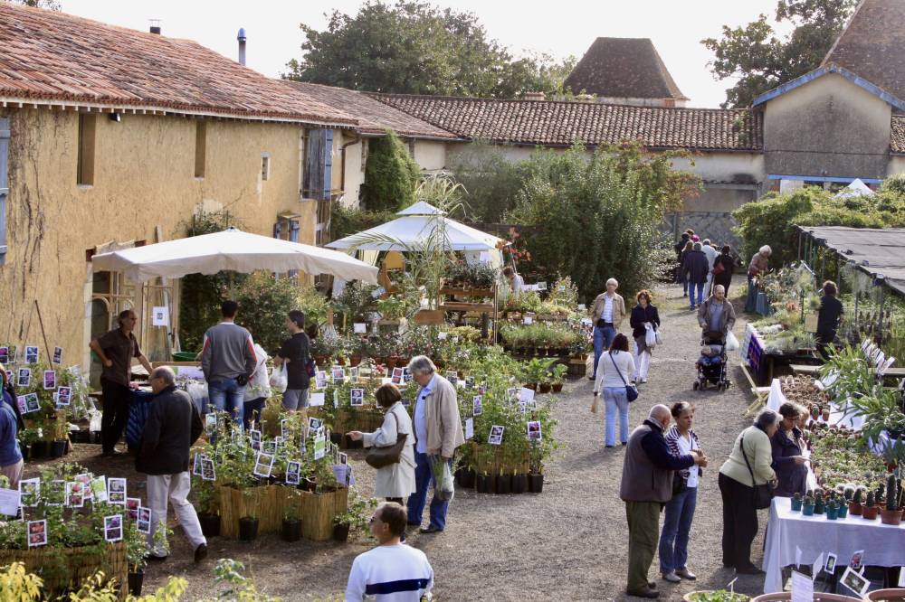 Marché aux plantes originales rares et collections - Gaujacq