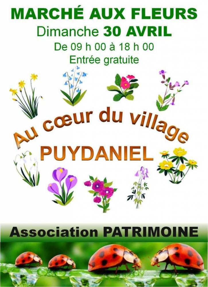 Marché aux fleurs de Puydaniel, place du château, PUYDANIEL (31)