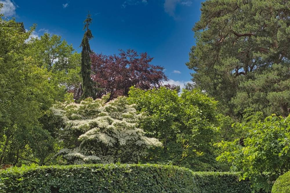 Nature is creativity, Arboretum des Grandes Bruyères, Ingrannes (45) - France
